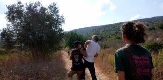 Israeli occupiers carry out 19 attacks on Palestinians, olive farmers across West Bank in hours israeli-occupiers-carry-out-19-attacks-on-palestinians,-olive-farmers-across-west-bank-in-hours