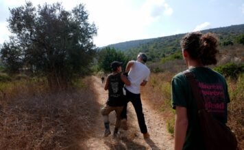 Israeli occupiers carry out 19 attacks on Palestinians, olive farmers across West Bank in hours israeli-occupiers-carry-out-19-attacks-on-palestinians,-olive-farmers-across-west-bank-in-hours