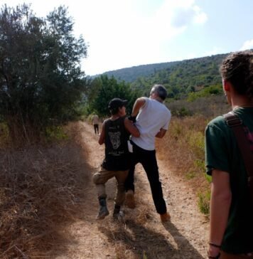 Israeli occupiers carry out 19 attacks on Palestinians, olive farmers across West Bank in hours israeli-occupiers-carry-out-19-attacks-on-palestinians,-olive-farmers-across-west-bank-in-hours