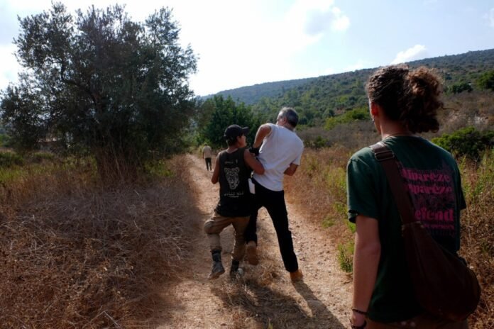 israeli-occupiers-carry-out-19-attacks-on-palestinians,-olive-farmers-across-west-bank-in-hours