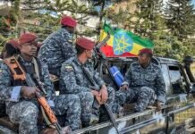 ethiopian-eritrean-fighting-raises-fears-of-wider-war-as-egypt-builds-red-sea-alliance