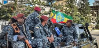 ethiopian-eritrean-fighting-raises-fears-of-wider-war-as-egypt-builds-red-sea-alliance