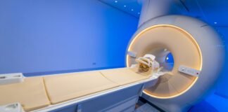 one-with-the-world?-a-new-look-at-brains-transformed-by-psychedelics.