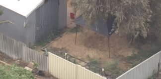 Twin Brother Charged with Murder After Shocking Backyard Discovery twin-brother-charged-with-murder-after-shocking-backyard-discovery