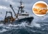 mcdonald’s-filet-o-fish-supplier-under-fire