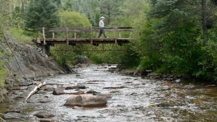 in-new-mexico,-a-river-runs-through-‘the-middle-of-a-hellscape’ in-new-mexico,-a-river-runs-through-‘the-middle-of-a-hellscape’