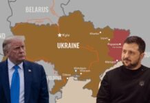 europeans-back-zelenskyy-after-trump-calls-for-new-ukrainian-leader