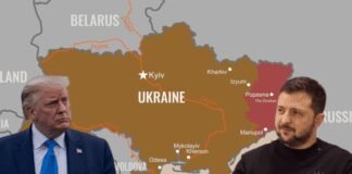 europeans-back-zelenskyy-after-trump-calls-for-new-ukrainian-leader