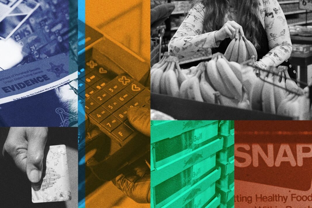 scammers-are-stealing-millions-from-food-stamp-recipients-congress-could-fix-it-—-but-won’t.