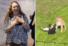 ‘Tiger King’ Star Carole Baskin Defends Tiger After Deadly Zoo Attack ‘tiger-king’-star-carole-baskin-defends-tiger-after-deadly-zoo-attack
