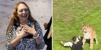 ‘Tiger King’ Star Carole Baskin Defends Tiger After Deadly Zoo Attack ‘tiger-king’-star-carole-baskin-defends-tiger-after-deadly-zoo-attack