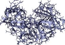 Researchers use AI to design proteins that cut up other proteins researchers-use-ai-to-design-proteins-that-cut-up-other-proteins