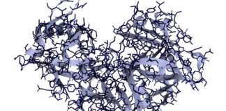 researchers-use-ai-to-design-proteins-that-cut-up-other-proteins