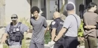 Woman Nearly Drowned in Mall Pond by ‘Crazed’ Stranger (Video) woman-nearly-drowned-in-mall-pond-by-‘crazed’-stranger-(video)