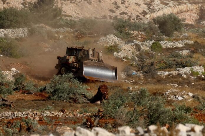 israeli-rabbi-permits-occupiers-to-steal-palestinian-olive-harvest-in-west-bank