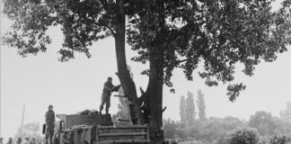 The Tree at Panmunjom vividly revisits 1976 tensions the-tree-at-panmunjom-vividly-revisits-1976-tensions