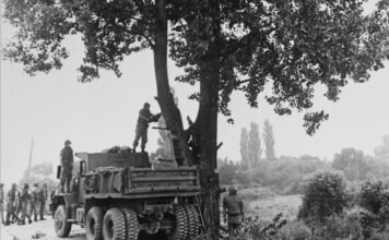 The Tree at Panmunjom vividly revisits 1976 tensions the-tree-at-panmunjom-vividly-revisits-1976-tensions
