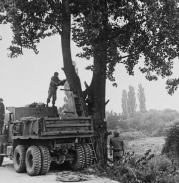 The Tree at Panmunjom vividly revisits 1976 tensions the-tree-at-panmunjom-vividly-revisits-1976-tensions