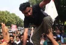 Can cockroach movement reverse India’s democratic decline? can-cockroach-movement-reverse-india’s-democratic-decline?