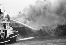 the-fire-retardant-in-the-seafood-chain