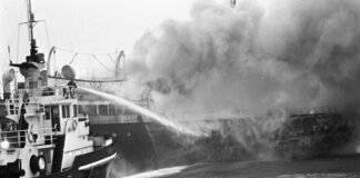 the-fire-retardant-in-the-seafood-chain