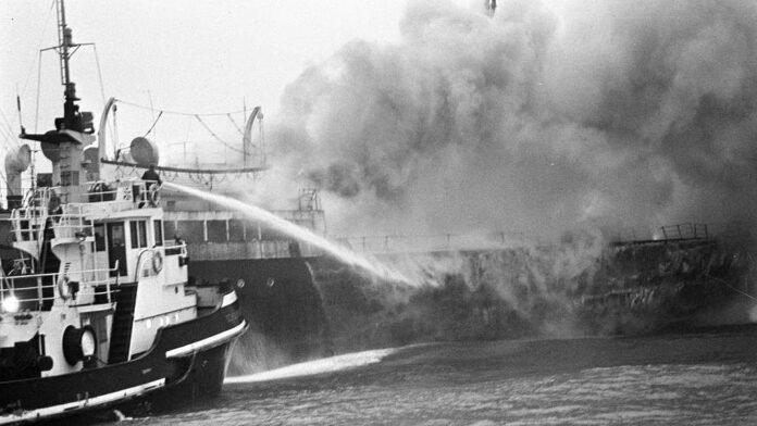 the-fire-retardant-in-the-seafood-chain