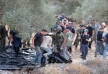 eu-condemns-israeli-occupier-attacks-on-palestinians,-european-diplomats-in-occupied-west-bank