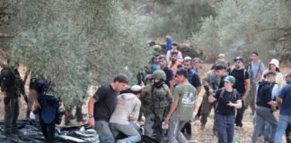 eu-condemns-israeli-occupier-attacks-on-palestinians,-european-diplomats-in-occupied-west-bank