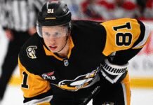 nhl-plane-makes-emergency-landing-after-star-suffers-medical-crisis