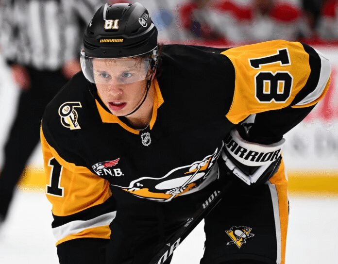 nhl-plane-makes-emergency-landing-after-star-suffers-medical-crisis