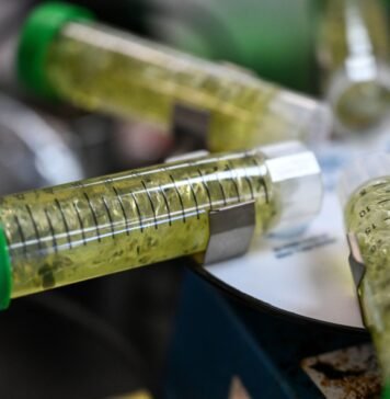 Colorado Marijuana Regulators Failed to Protect Consumers From Potential Contamination, Audit Finds colorado-marijuana-regulators-failed-to-protect-consumers-from-potential-contamination,-audit-finds