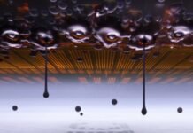 Meet the 2026 winner of Nikon’s Small World photomicrography contest meet-the-2026-winner-of-nikon’s-small-world-photomicrography-contest