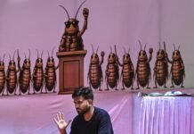 ‘Cockroach’ protesters aim to upend assumptions about democracy ‘cockroach’-protesters-aim-to-upend-assumptions-about-democracy