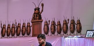 ‘cockroach’-protesters-aim-to-upend-assumptions-about-democracy
