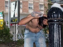 This summer’s heat was Europe’s deadliest on record this-summer’s-heat-was-europe’s-deadliest-on-record
