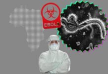 Africa CDC calls emergency meeting as Ebola outbreak spreads to Nigeria africa-cdc-calls-emergency-meeting-as-ebola-outbreak-spreads-to-nigeria