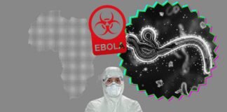 africa-cdc-calls-emergency-meeting-as-ebola-outbreak-spreads-to-nigeria