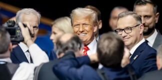 in-the-starlink-case-trump-reacted-to-pressure,-not-flattery