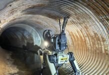 ice-plan-to-buy-robot-dogs-spurs-protest-from-hundreds-of-boston-dynamics-employees