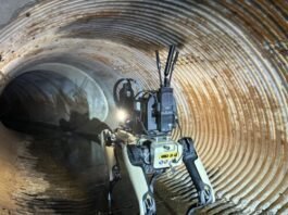 ice-plan-to-buy-robot-dogs-spurs-protest-from-hundreds-of-boston-dynamics-employees