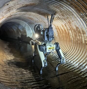 ice-plan-to-buy-robot-dogs-spurs-protest-from-hundreds-of-boston-dynamics-employees