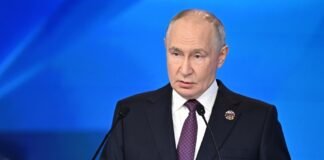 putin-says-trade-turnover-with-egypt-‘growing-steadily’-despite-regional-tensions