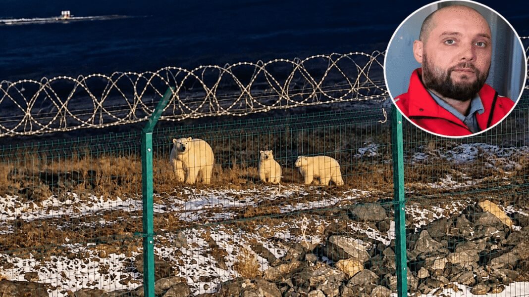 polar-bear-mauls-young-worker-as-coworkers-make-desperate-move-to-save-his-life