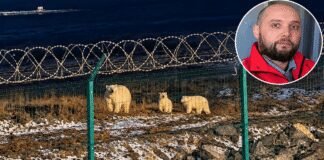 Polar Bear Mauls Young Worker as Coworkers Make Desperate Move to Save His Life polar-bear-mauls-young-worker-as-coworkers-make-desperate-move-to-save-his-life