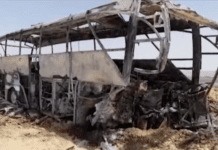 10 Killed, 24 Injured in Bus-Truck Collision in Egypt 10-killed,-24-injured-in-bus-truck-collision-in-egypt