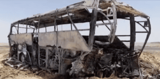10 Killed, 24 Injured in Bus-Truck Collision in Egypt 10-killed,-24-injured-in-bus-truck-collision-in-egypt